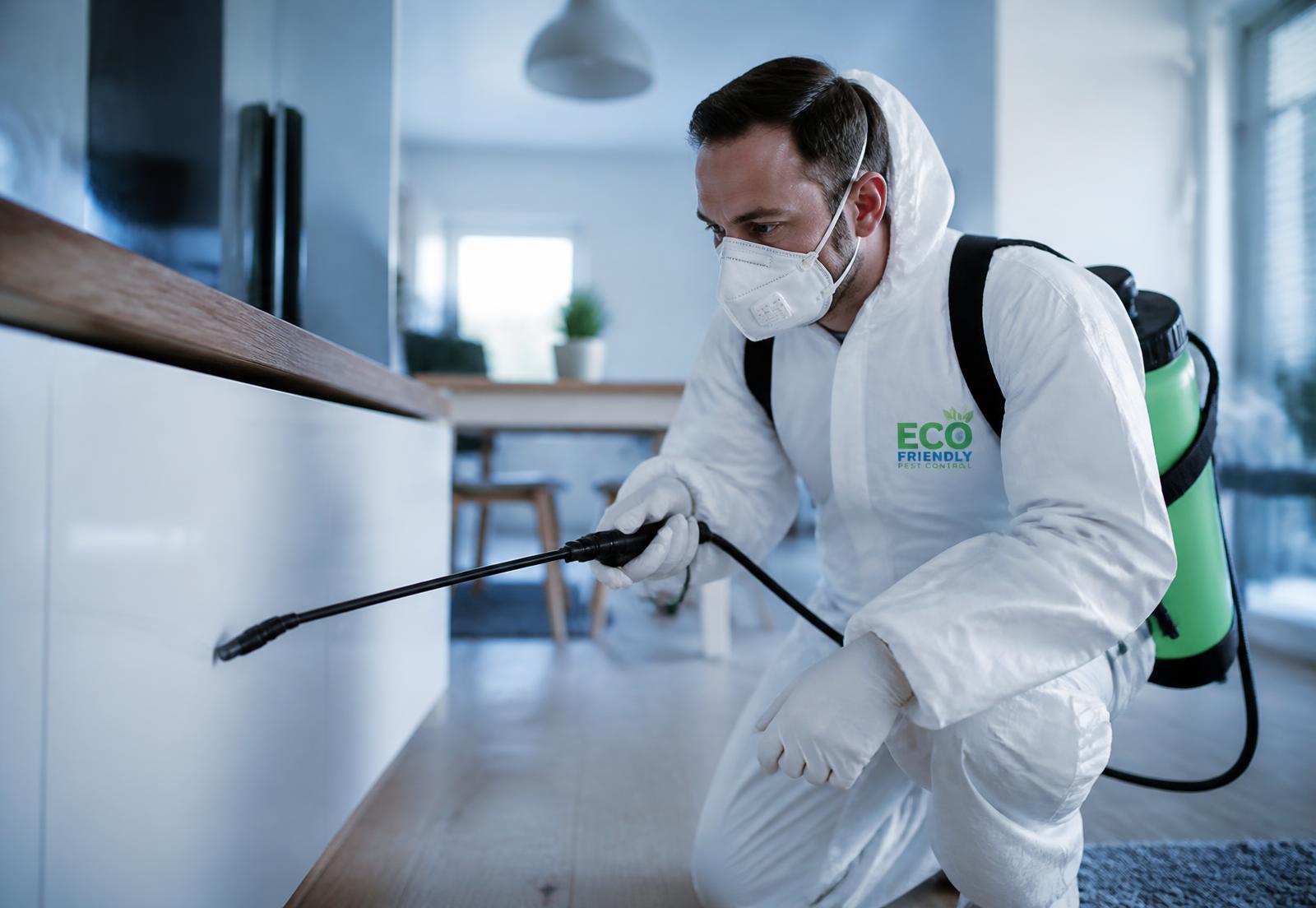 Pest control technician spraying an eco friendly treatment inside a home
